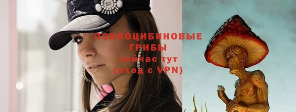 спиды Абаза