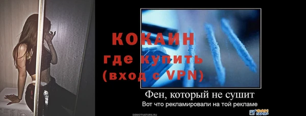 МДПВ Протвино