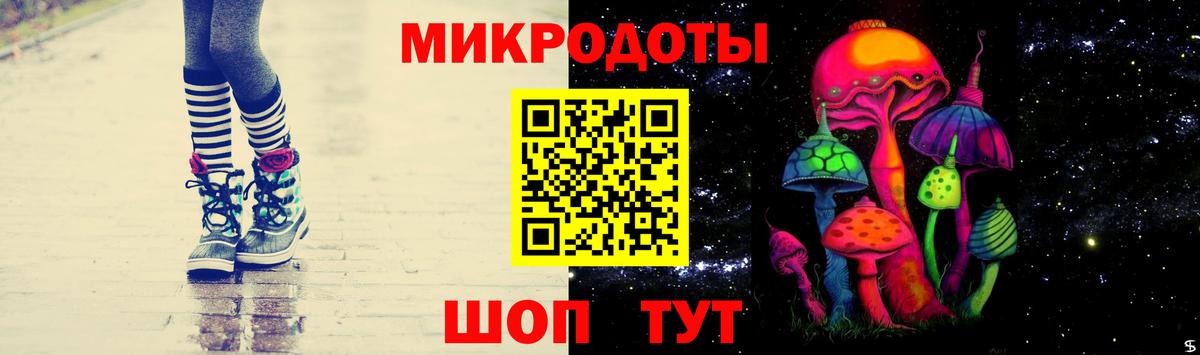 Галлюциногенные грибы Psilocybine cubensis  Вход с VPN  Псилоцибиновые грибы прущие грибы  Ирбит 